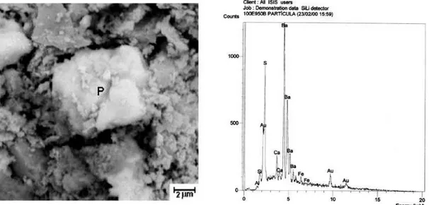 Figura  8:  Micrografia  obtida  por  MEV  do  resíduo  oleoso  inertizado  queimado  a  950  °C  com  EDS  mostrando  partícula  P  composta  predominantemente de Ba.