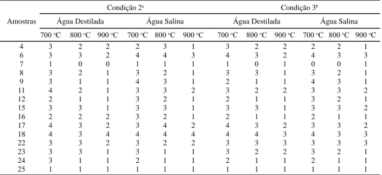 Tabela V – Resultados do ensaio de eflorescência realizado segundo as condições 2 e 3