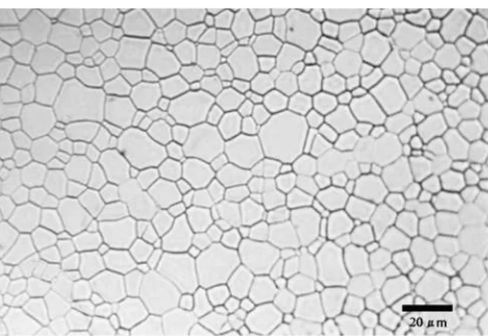 Figura 1: Microestrutura de pastilha policristalina de UO 2  fabricada  pelo processo sol-gel.