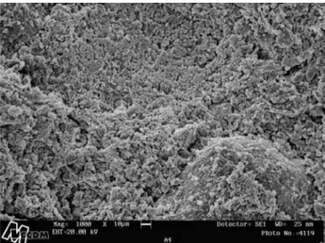 Figura 3: Imagem obtida por microscopia eletrônica de varredura da amostra  fraturada de argamassa com 5% de sílica ativa e 5,2% de polímero (A2)