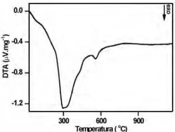Figura 2: Curva de análise térmica diferencial do gel seco.