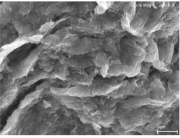 Figura  �0:  Micrografias  obtida  por  microscopia  eletrônica  de  varredura das matrizes natural e  pilarizadas.