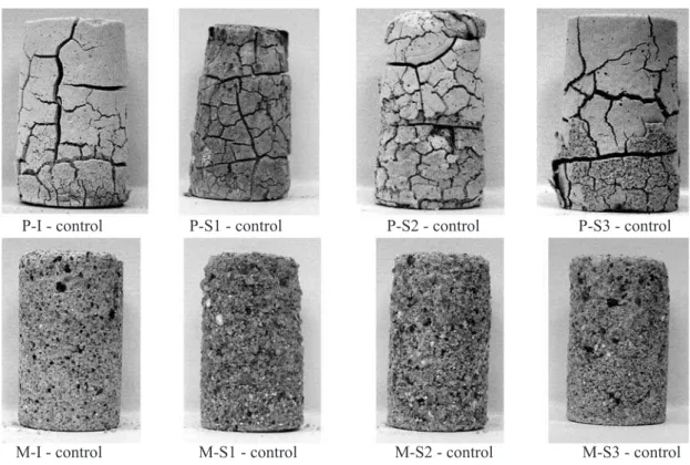 Figure 12: Photographs of paste (P) and mortar (M) specimens with 10% (w/w of the cement content) of NaOH-treated tire rubber particles,  prepared with different cements (I, S1, S2 and S3) after four d of immersion in acid.