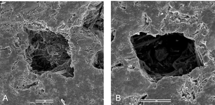 Figura  1:  Imagens  da  superfície  interna  do  fundo  de  panela  de  esteatito  obtida  por  microscópio  eletrônico  de  varredura  (JEOL  840A),  mostrando cavidade romboédrica resultante da dissolução de dolomita