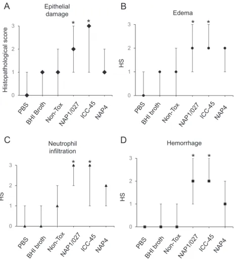 Fig. 6. Quantiﬁcation of histopathologic effects of bacterial cell-free supernatants of strain ICC-45 and other C