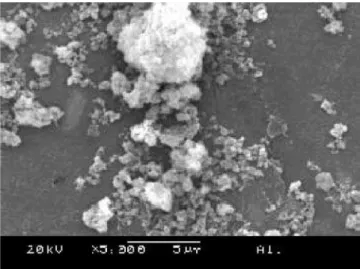 Figura  3:  Micrografia  de  microscopia  eletrônica  de  varredura  do  espinélio calcinado a 600 °C