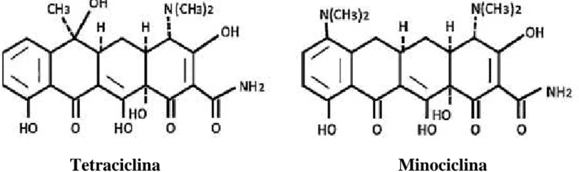 Fig. 4: Estrutura química da tetraciclina e da minociclina (GARRIDO-MESA et al., 2013)