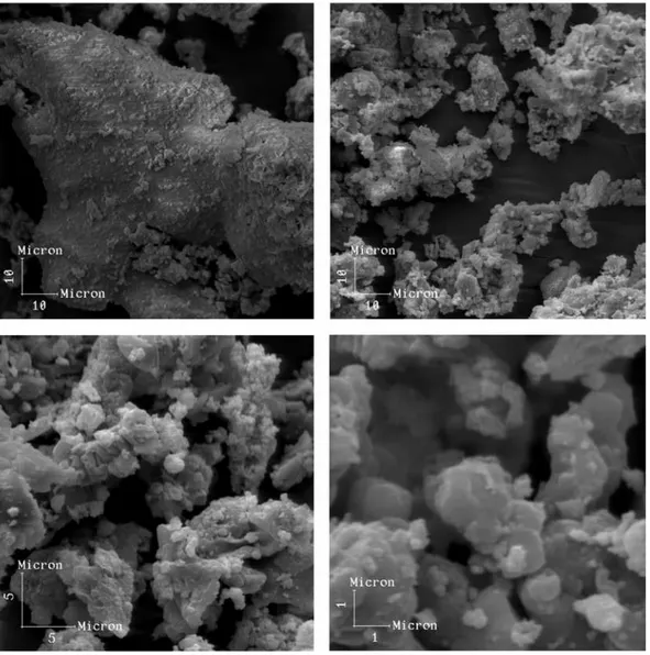 Figura 2: Micrografias da cinza da lenha obtidas por microscopia eletrônica de varredura