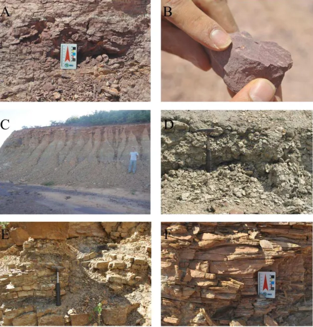 Figura 5: Fotos dos afloramentos visitados. A) Aspecto geral da fácies Fo e B) fácies Fo com presença de  fóssil de ostracode em detalhe