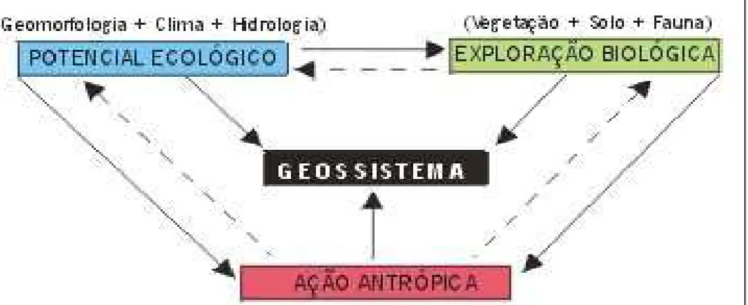Figura 2.1 - Esboço teórico apresentado por Bertrand (1972) para explicar o funcionamento  do geossistema
