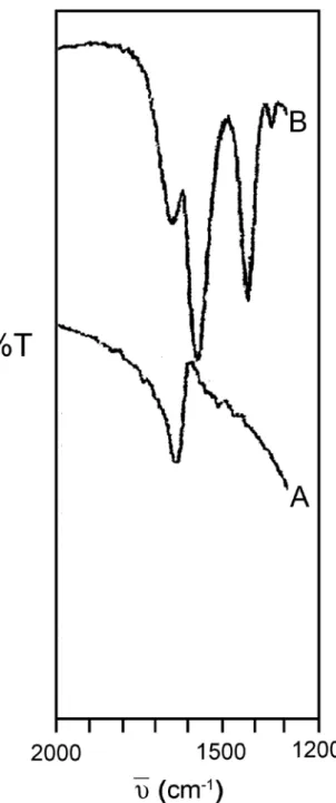 Figura 2: Espectros na região do infravermelho da zeólita analcima.  (A) H-ANA, (B) H-ANA/Glu.