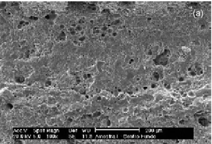 Figura 8: Micrografias obtidas em MEV observando o fundo de  um furo [(a) aumento 25 X] e as ranhuras próximas à saliência [(b)  aumento 100 X].