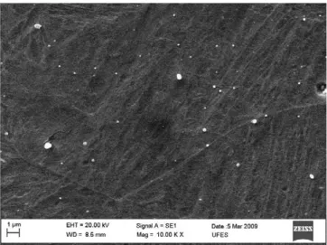 Fig. 5. EDS spectrum of small and spherical particles of Fig. 4c.