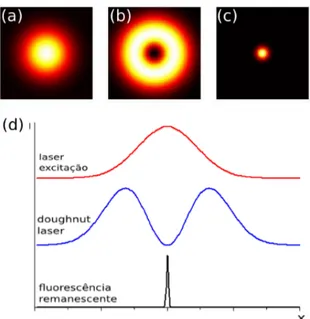 Figura 1.2: (a) Spot do laser de excitação, (b) modo doughnut do laser e (c) área remanescente com fluorescência permitida