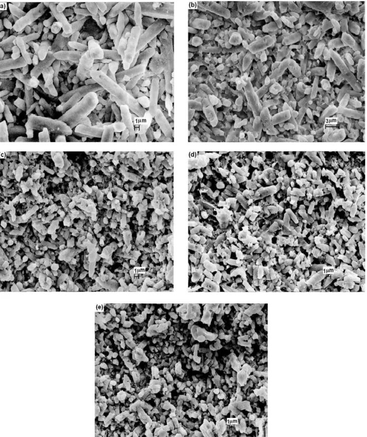 Figura 3: Micrografias obtidas em microscópio eletrônico de varredura dos compósitos sinterizados com a) 0% de SiC, b) 5% SiC, c) 10%  SiC, d) 15%SiC, e) 20%SiC.