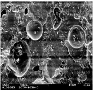 Figura 9: Micrografia obtida por microscopia eletrônica de varredura de  um corpo de prova da massa M0 queimado em 1050 °C
