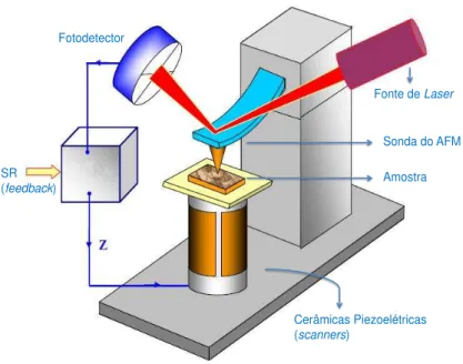 Figura 11: Ilustra¸c˜ao simplificada de um Microsc´opio de For¸ca Atˆomica (adaptado de [31]).