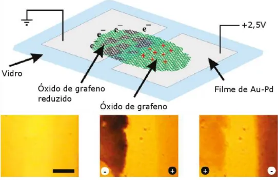 Figura 16 – Esquema de um dispositivo que permite filmes finos de óxido de grafeno serem reduzidos e oxidados eletricamente.[13]