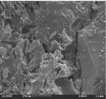 Figura 4: Micrografia obtida por MEV da superfície de fratura da argila caulinítica A queimada a 1100  o C.