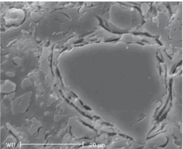 Figura 4: Fotomicrografia obtida em microscópio eletrônico de varredura, mostrando trinca periférica ao redor do quartzo; sem ataque ácido.