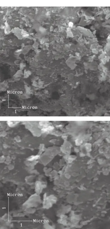 Figura 1: Micrografias obtidas por MEV das partículas de chamote. (a) 100 x; (b) 1900 x.