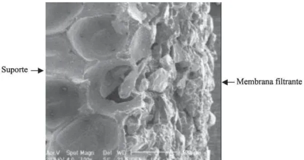 Figura 2: Micrografia obtida em microscópio eletrônico de varredura da interface da membrana filtrante com o suporte de 45 ppi.