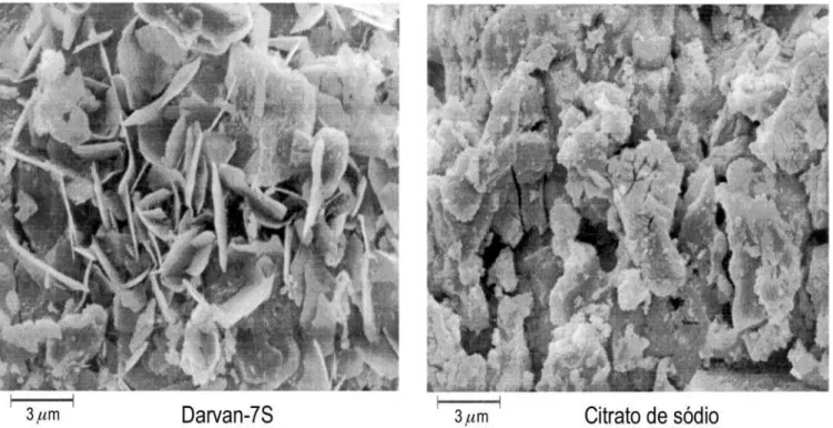 Figura 2: Micrografias obtidas por MEV de amostras de cimento hidratadas por 12 dias na presença de 5%-p de Darvan-7S ou citrato de sódio, a temperatura ambiente (26-27  0 C).