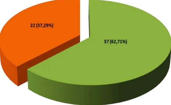 Figura  13.  Distribuição  dos  pacientes  segundo  o  risco  biológico  de  contrair infecção por MNT de acordo com a atividade profissional (n=59)