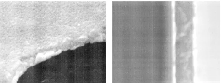 Figura 3: Secção transversal e microestrutura, obtidas por MEV, da superfície do filme fino de SrBi 2 Ta 2 O 9  tratado a 550 ºC em forno microondas.