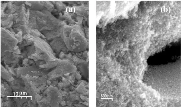 Figura 4: Imagem obtida por microscopia eletrônica de transmissão de alta resolução (a) e baixo aumento (b) das nanopartículas de SnO 2 .