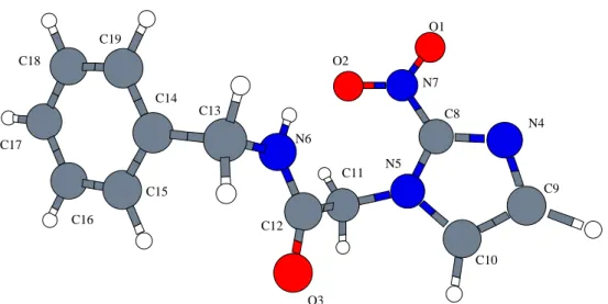 Figura 4.2: Conformação molecular do benzonidazol com cada átomo identiﬁcado.