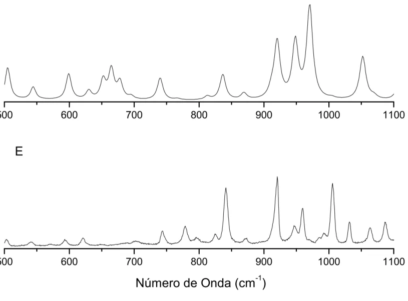 Figura 4.10: Espectros Raman calculado (C) e experimental (E) do BZN na região entre 500 e 1000 cm − 1 .