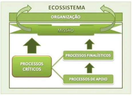 Figura 4  –  Tipologia dos processos.