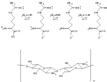 Figura 1: [a] Representação da estrutura molecular da L-Arginina variando-se o pH da solução