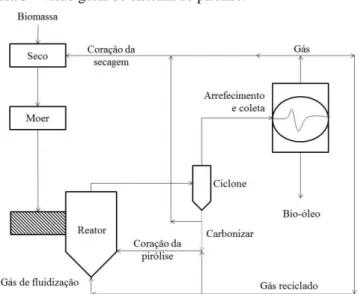 Figura 5 - Visão geral do sistema de pirólise. 