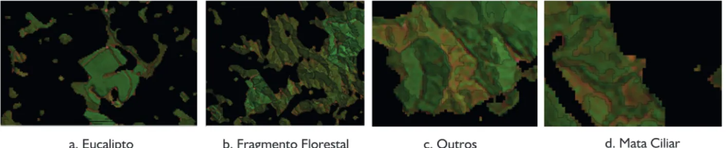 FIGURA 3   Exemplos de amostras de treinamento. FIGURE 3  Examples of training samples.