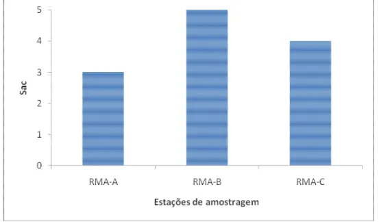 Figura  20  -  Número  acumulado  de  espécies  (Sac)  registradas  em  cada  estação  de  amostragem