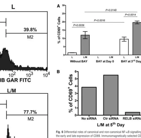 Fig. 6 Differential roles of canonical and non-canonical NF-␬B signalling in the early and late expression of CD69