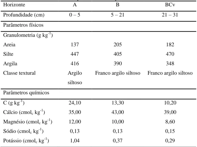 Tabela 2  –  Dados das análises físico-químicas do solo representativo das microbacias B1 e B2 