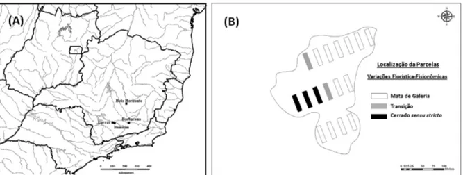 Figure 1 –  Geographical location of the town of Itumirim, MG (A) and map showing the location of the 17 plots in the patch studied  in this county, emphasizing the floristic-physiognomic variations resulting in three environmetnal patterns: Gallery Forest
