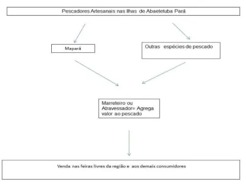 Figura 7 – Do pescador ao consumidor 