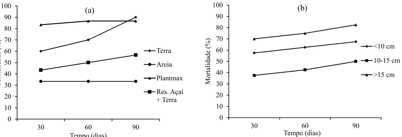 Figura 3 – Mortalidade acumulada de mudas de A. castaneifolia por substrato (a) e por classe de altura (b), transplantadas da  regeneração natural para o viveiro.