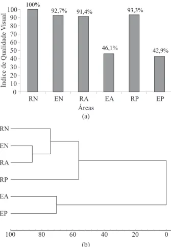 Figure 2 – Similarity dendrogram constructed with biochemical,  physical and visual attributes (b) Areas: RN: Area inside the  reserve, adjacent to the region of secondary forest in the damping  zone