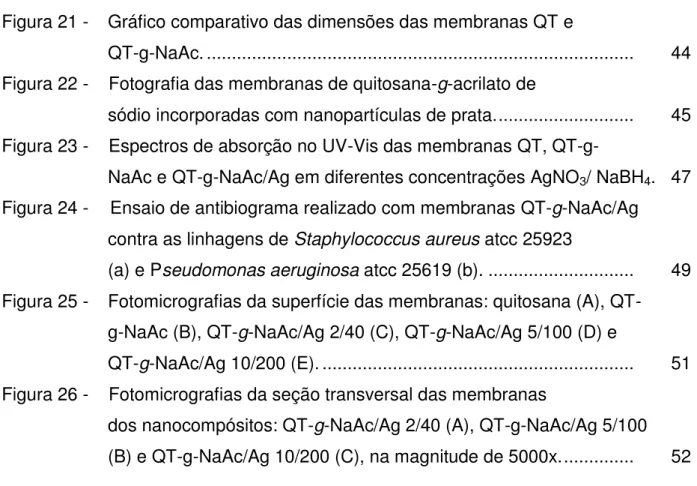 Figura 21 -    Gráfico comparativo das dimensões das membranas QT e  