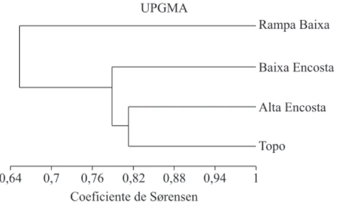 Figura 1 –  Dendrograma de similaridade obtido pelo método  UPGMA, com base no índice de Sørensen, para as quatro faixas  topográficas ao longo do gradiente de uma Floresta Estacional  Semidecidual, Mata do Mumbaça, Dionísio-MG.