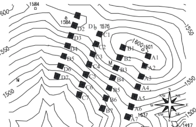 Figura 1 –  Disposição dos transectos e respectivas parcelas; as  linhas contínuas representam as curvas de nível, no fragmento  florestal da Mata da Colina, Poços de Caldas, MG.