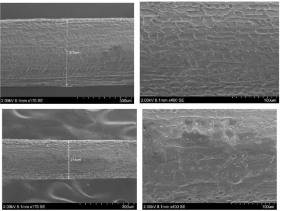 Figure 4.4. External surface of coconut fibers chemically treated and dried.