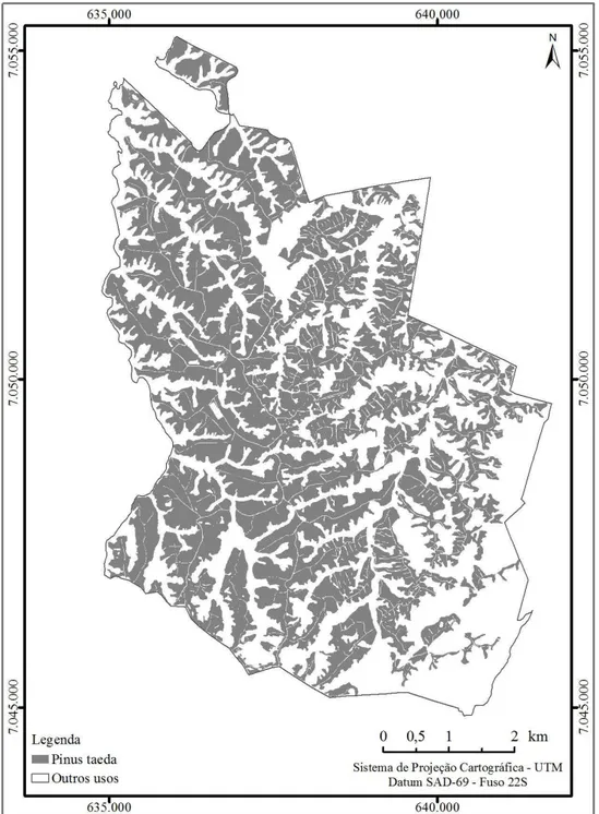 Figura 4  – Mapa de  talhões com Pinus  taeda. Figure 4 – Pinus taeda stand map.