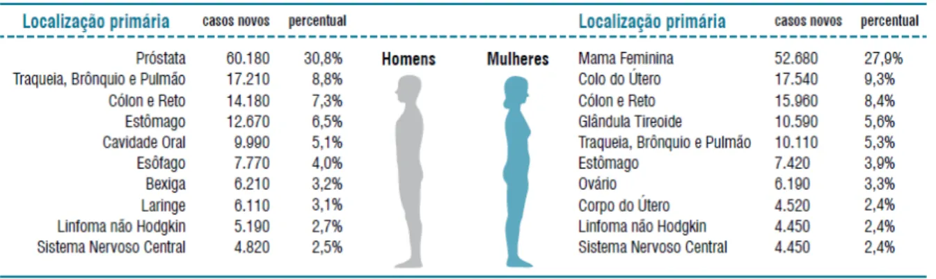Figura 1 ˗  Distribuição  proporcional  dos  10  tipos  de  câncer  mais  incidentes  estimados  para  2013 por sexo no Brasil, exceto pele não melanoma 
