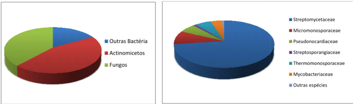 Figura  9  –  Porcentagem  d metabólitos bioativos produzidos po